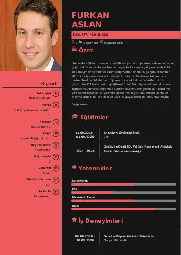 Endüstri Mühendisi CV Örnekleri cv indir